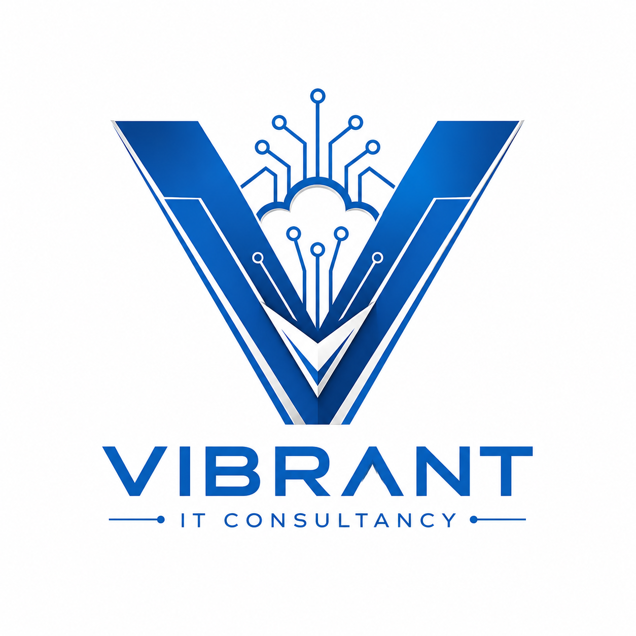 Vibrant IT Consultancy